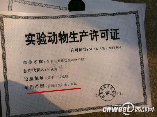 供应商无养狗资质 西安医学院实验用狗来源存疑