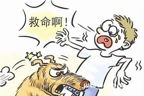 各位大侠帮忙解梦，梦见两条狗咬我两腿