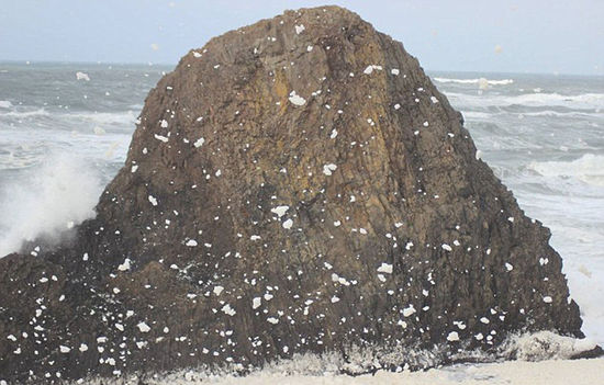 海洋泡沫冲上美国海岸 淹没乡村街道和房屋(组图)