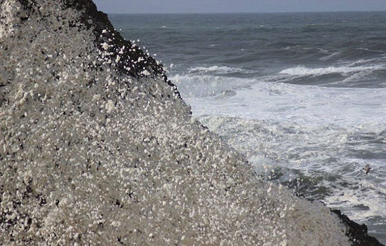 海洋泡沫冲上美国海岸 淹没乡村街道和房屋(组图)