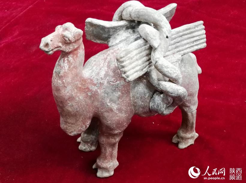 西安发现吐谷浑公主及其丈夫合葬墓 出土160余件随葬品【5】