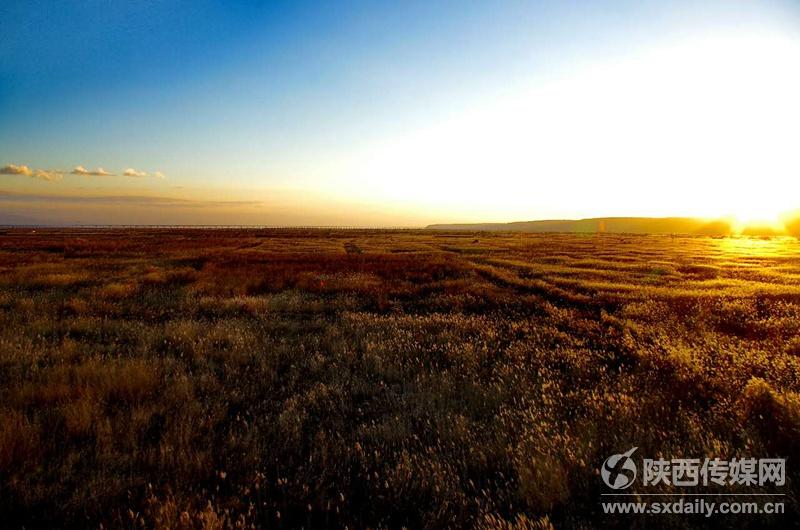 冬季夕阳下洽川湿地的美景。