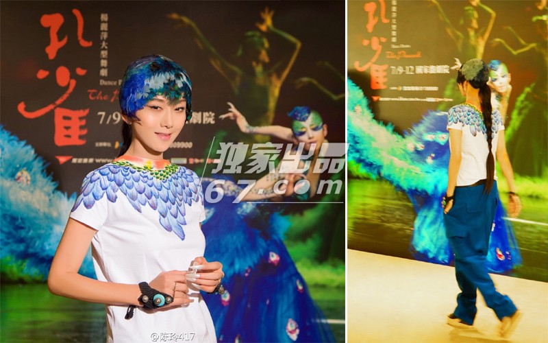 给中国长脸的明星：范冰冰龙袍加身 杨丽萍穿出国际范儿