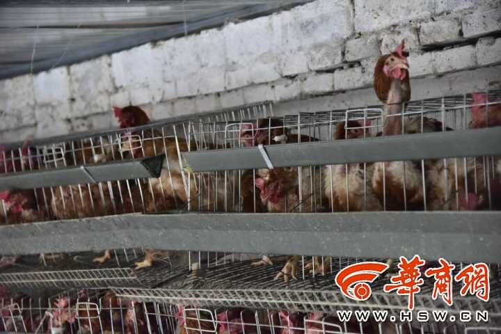 因户施策精准扶贫 延安房子村今年全村脱贫
