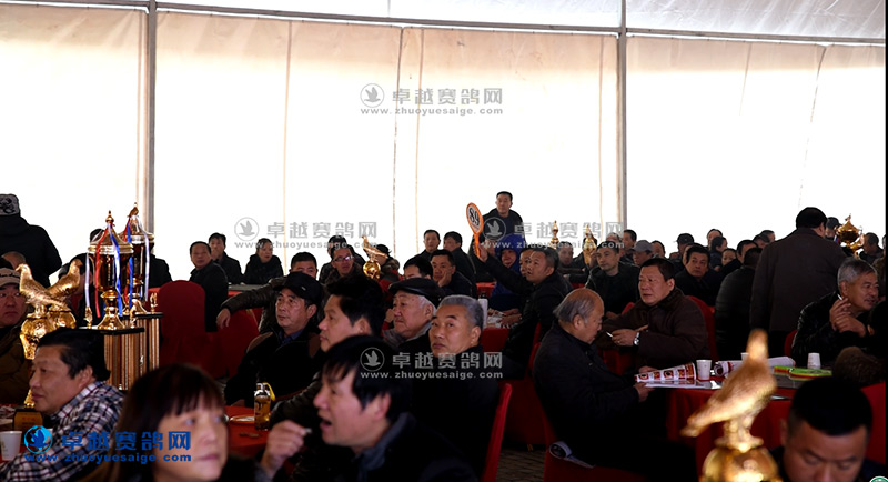 武汉福齐赛鸽俱乐部第六届拍卖会现场