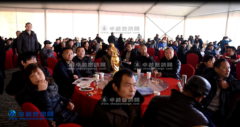 武汉福齐赛鸽俱乐部第六届拍卖会现场