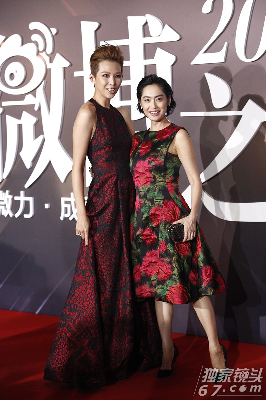 2015微博之夜红毯：赵丽颖刘涛飒爽登场PK总攻范