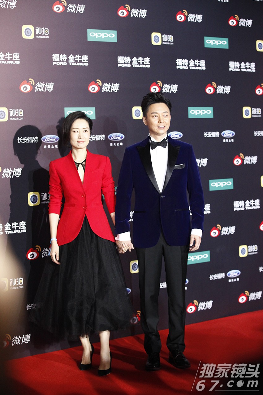 2015微博之夜红毯：赵丽颖刘涛飒爽登场PK总攻范