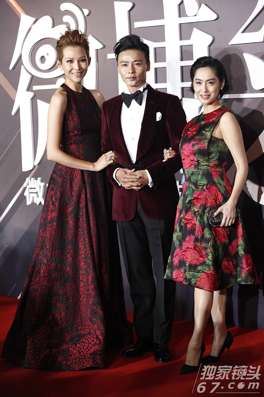 2015微博之夜红毯：赵丽颖刘涛飒爽登场PK总攻范