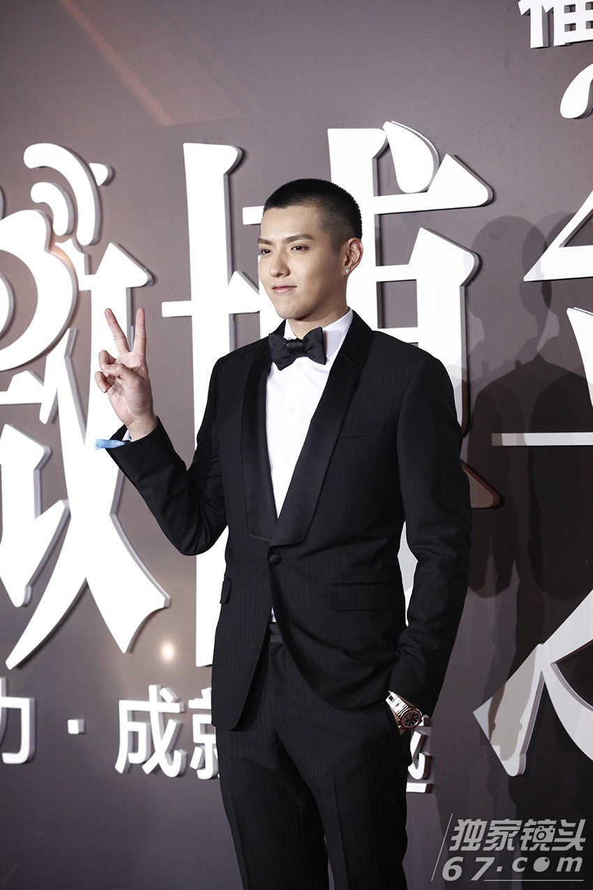 2015微博之夜红毯：赵丽颖刘涛飒爽登场PK总攻范