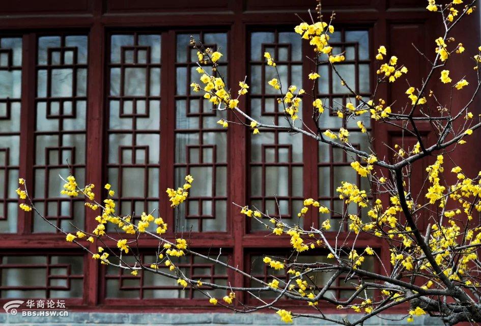 1d7ey0ek.jpg?138