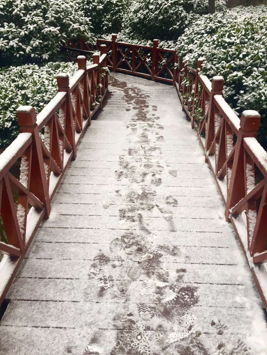 2016年西安初雪降临 晒晒你朋友圈里美美的雪景