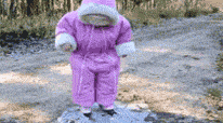 43.gif