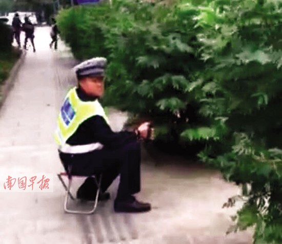 协警树丛后偷拍违法车辆 网友质疑