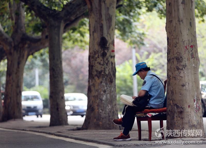 在工作之余，收停车费大姐不忘在梧桐树下看书学习。见习记者 何璐 摄