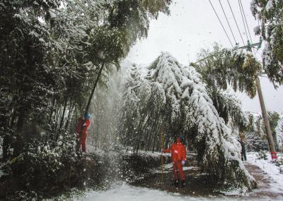 21日，浙江电力部门工作人员冒雪巡线，清理电力线路。新华社发