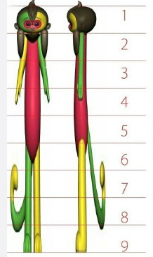 56.jpg