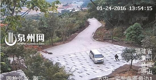 停车后忘拉手刹就下车，面包车发生溜车，司机发现一时着急试图徒手推车挡住，不料被车撞倒拖行碾压，倒在车轮下昏迷1小时后才被人发现送医治疗。前日，这不幸一幕发生在晋江罗山。