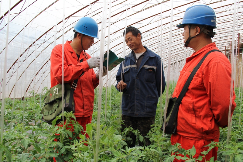 铜川供电公司职工为大棚菜农宣传安全用电知识（王同利摄）_4732.jpg