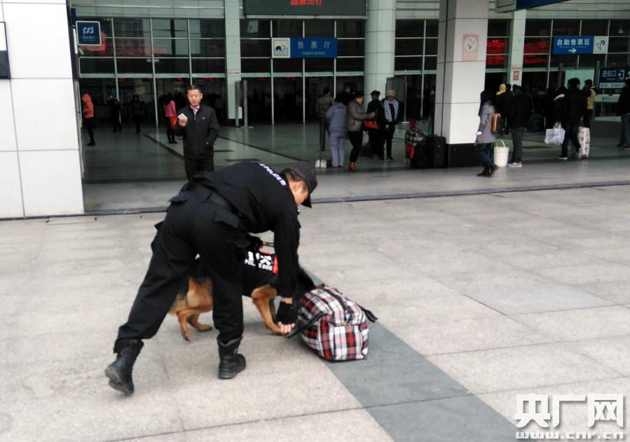 [新春走基层]警犬靠气味“追踪”丢包失主