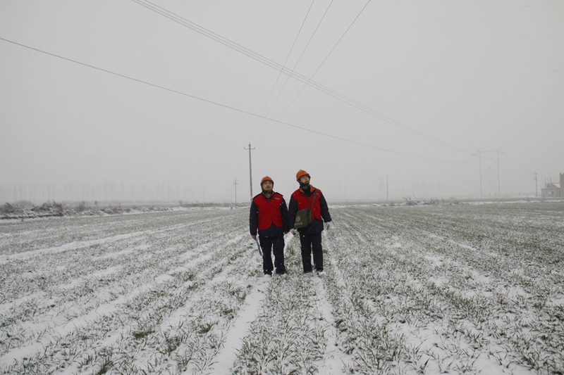 国网宝鸡供电公司电力职工冒雪对线路巡视