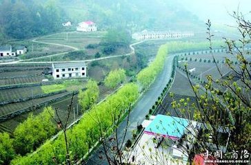 安置逃犯做保安政审有漏洞!洛南纪委介入调查