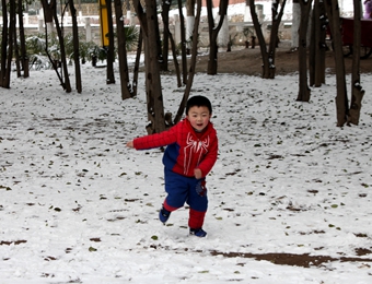 宝鸡昨日迎降雪 元宵节前“雪打灯”刷爆朋友圈