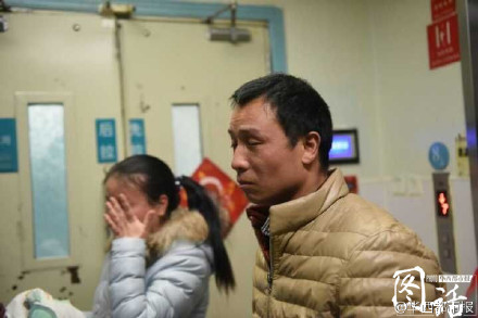 儿子父母