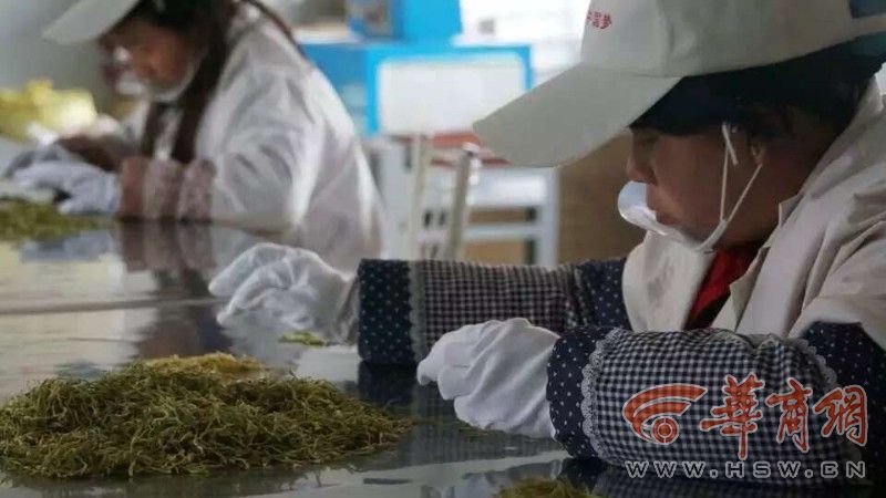 商南县有多少人口_商南县地图(3)