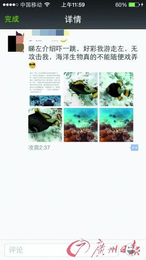 图片来源于网友截图。