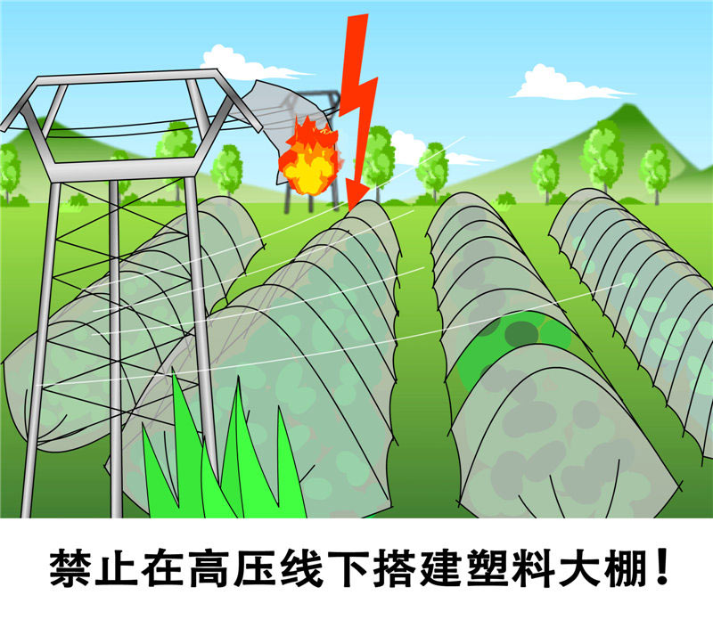 2、禁止高压线下搭建塑料大棚2.jpg