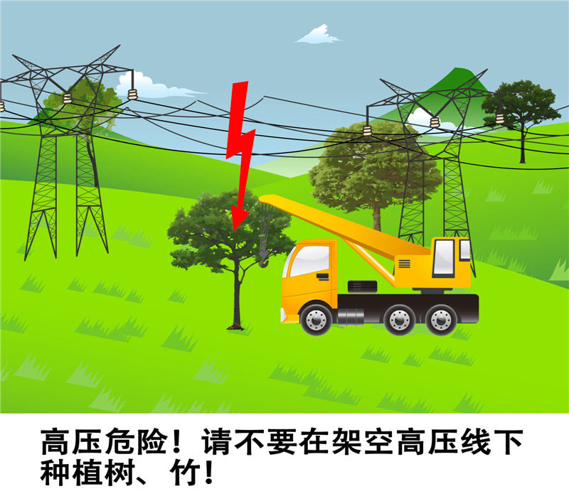 10、不要在架空高压线下种植树、竹.jpg
