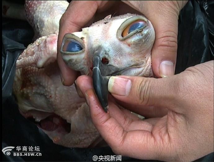 【看图说话NO.1768】说不一样 其实也一样