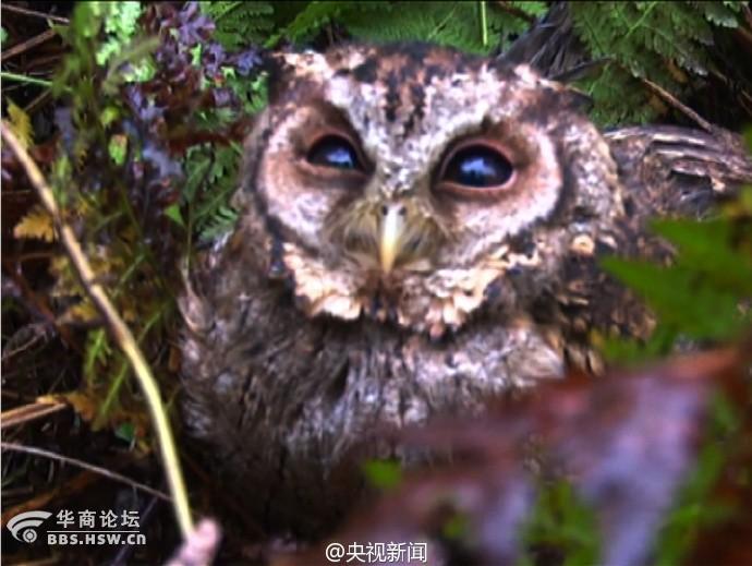 【看图说话NO.1768】说不一样 其实也一样