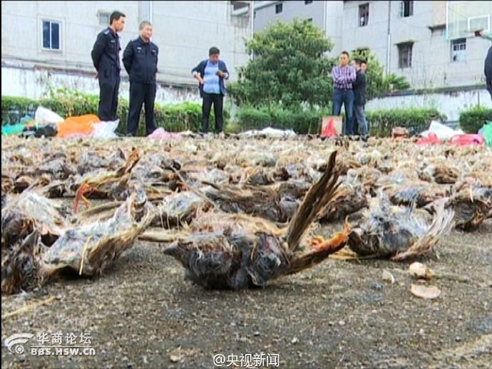 【看图说话NO.1768】说不一样 其实也一样