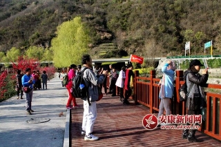 14593000929475105.jpg 11eb93b2e66c8f26b2ec31305bf6ffc4.jpg