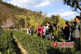 14593000998782863.jpg 87a007690b94e5450b9290dcf9b6fcdd.jpg