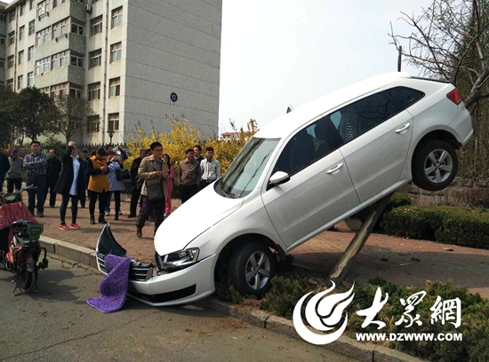 女司机错将油门当刹车 一脚下去轿车“上树”