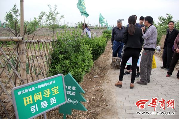 田间游戏吸引群众广泛关注.jpg