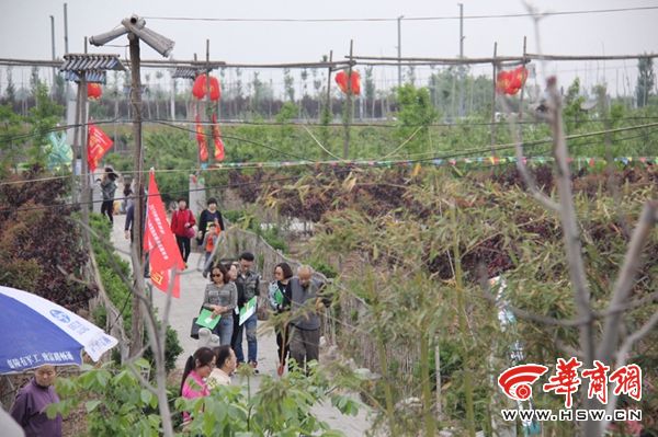 大秦农庄 人头攒动.jpg