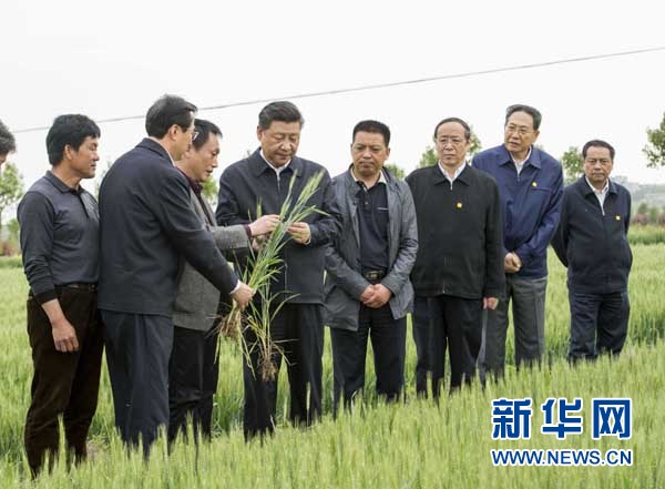 习近平安徽调研关注几件大事