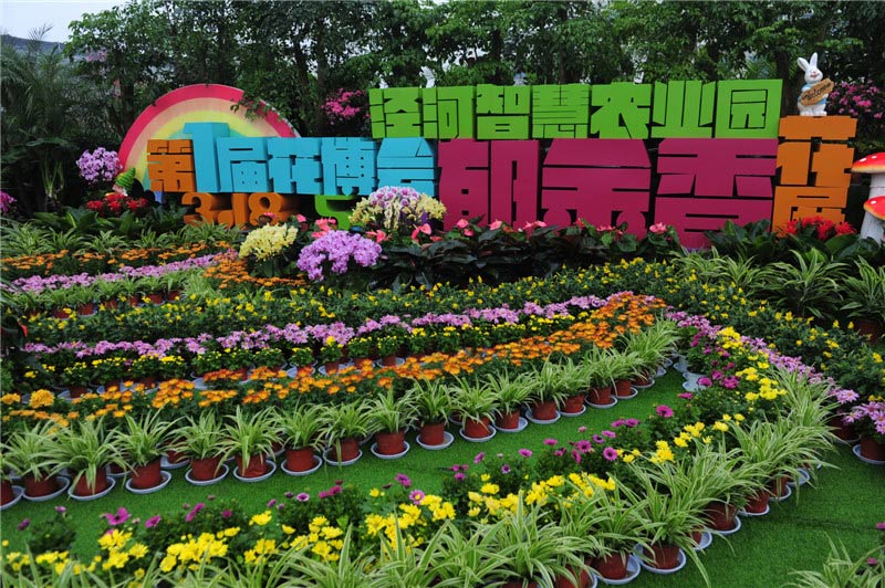 泾河新城景区五一小长假联动送优惠 门票茯茶均有折扣