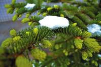 昨天西安大风靖边飘雪 西安今日最高气温略有回升