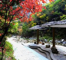 金丝峡景区行车路线