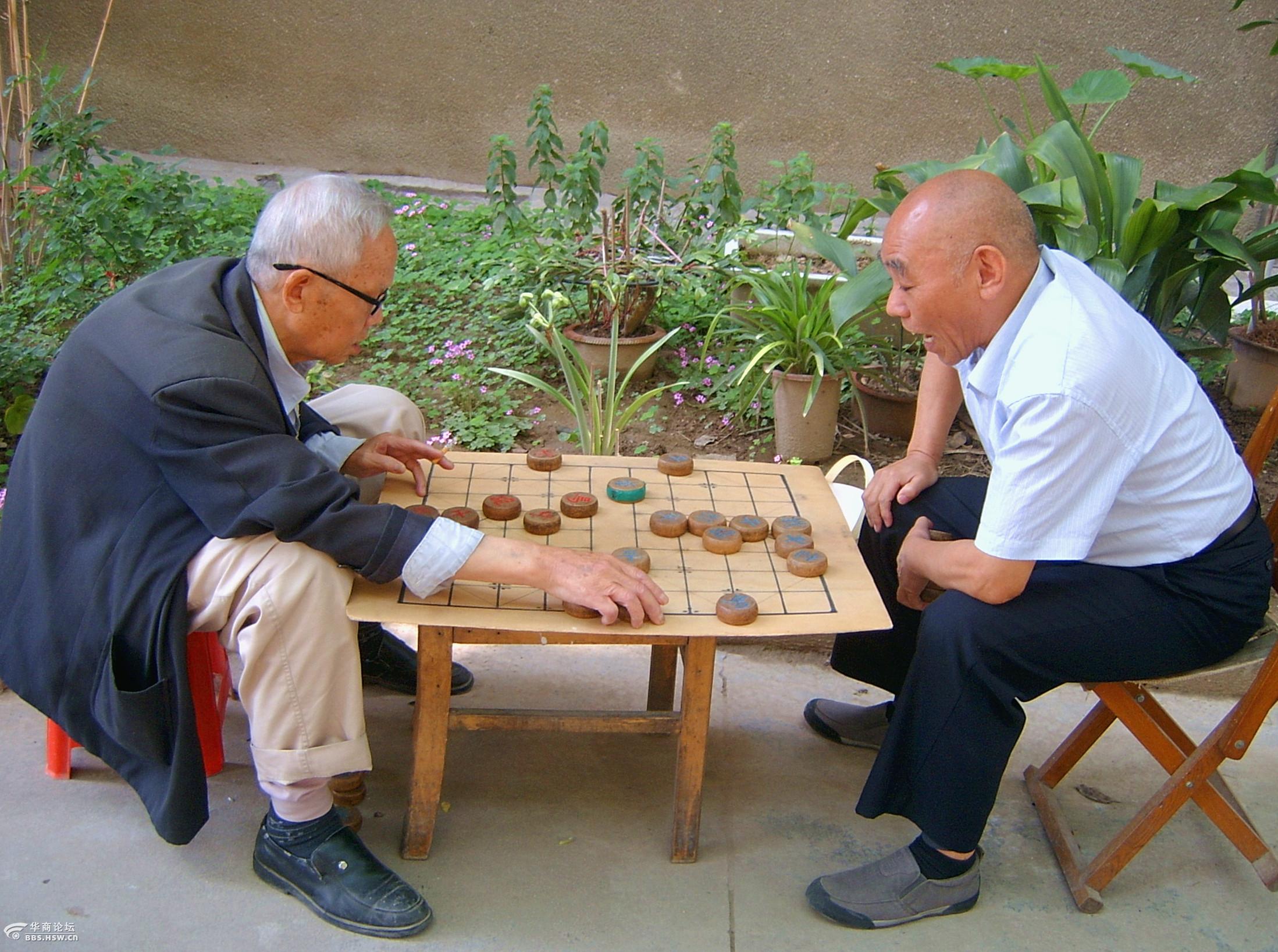 老人下棋  自娱自乐