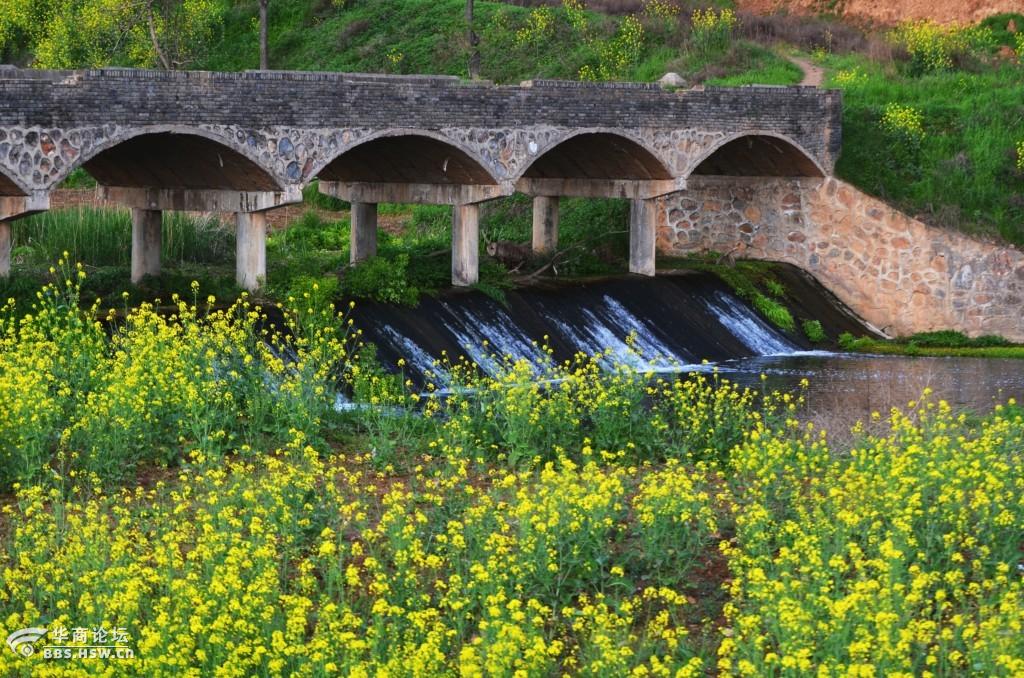 美丽的漆水河畔--我的家