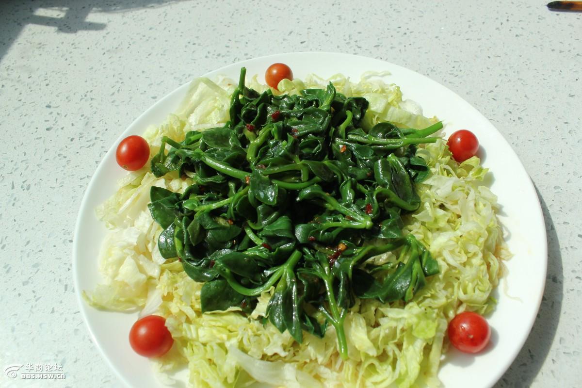 我说你做第11期夏季清火凉菜凉拌田七叶