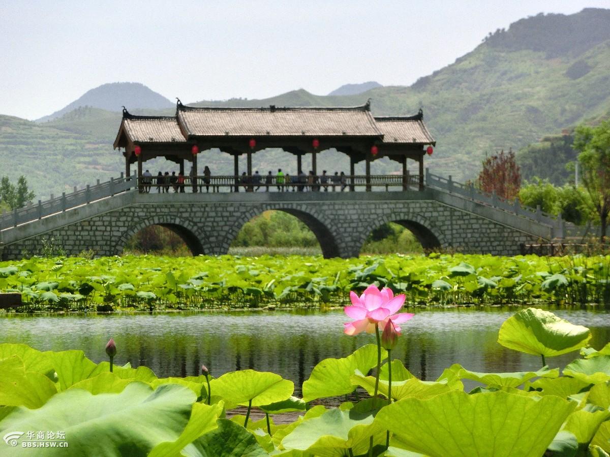 平凹故里棣花古镇