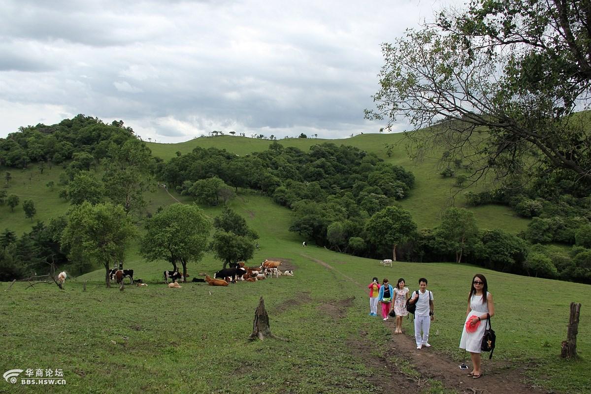 秘境仙踪云端起舞今夏高寒川在等你