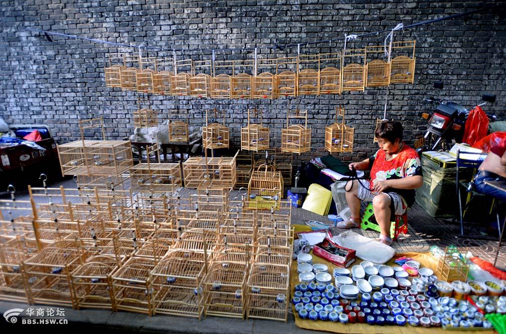 【2015 寻找老西安--no11】玩鸟人的天地【西仓鸟市}